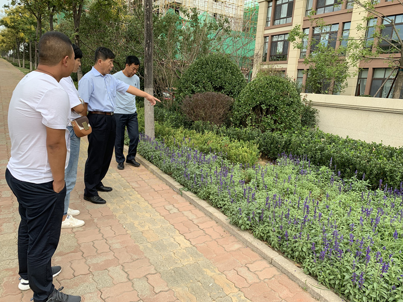 20.園林公司赴威?？疾煲计纺仙巾椖?jpg